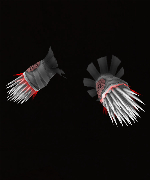 Lethal Silver Knuckles